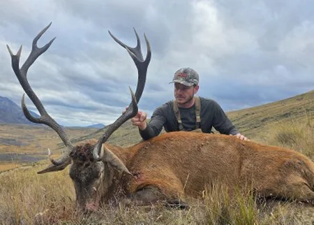 Top of the Lake Guiding - Trophy Red Stag hunt Top of the Lake Guiding - Trophy Red Stag hunt