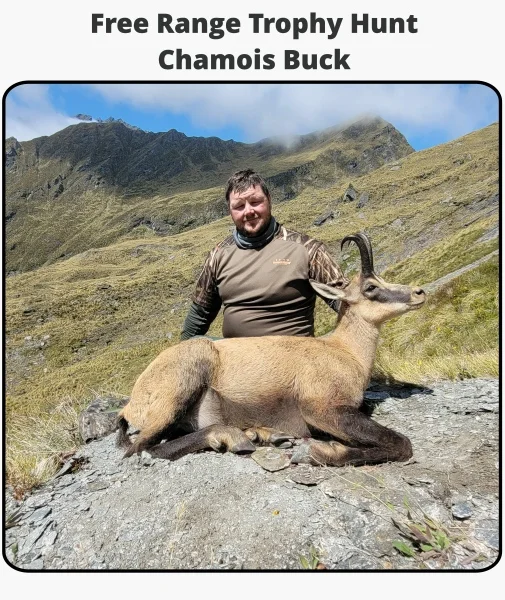 TOTLG Free Range Trophy Hunt - Chamois Buck TOTLG Free Range Trophy Hunt - Chamois Buck