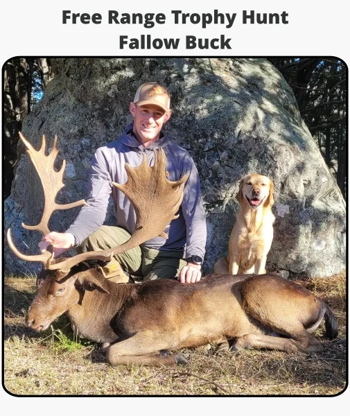 TOTLG Free Range Trophy Hunt - Fallow Buck TOTLG Free Range Trophy Hunt - Fallow Buck
