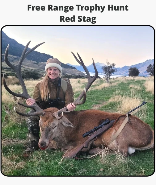 TOTLG Free Range Trophy Hunt - Red Stag TOTLG Free Range Trophy Hunt - Red Stag