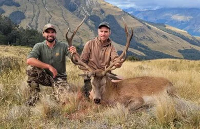 Top Of The Lake Guiding - Glenorchy NZ - Hunting a Stag Top Of The Lake Guiding - Glenorchy NZ - Hunting a Stag
