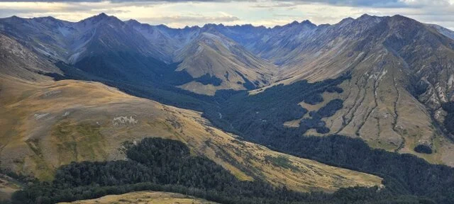 Top of The Lake Guiding - Hikes and Scenic Adventures