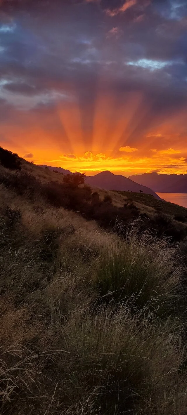 Top of The Lake Guiding - Hikes and Scenic Adventures