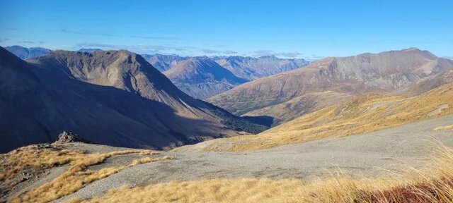 Top of The Lake Guiding - Hikes and Scenic Adventures