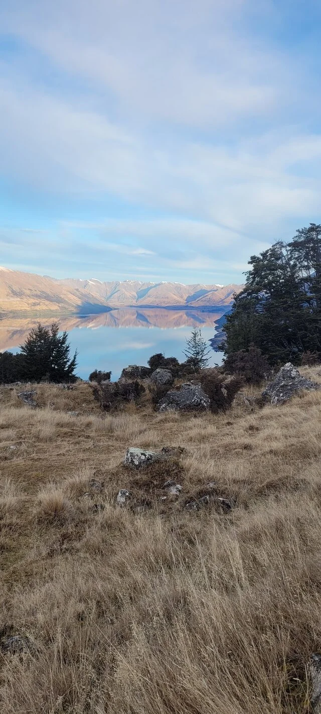 Top of The Lake Guiding - Hikes and Scenic Adventures