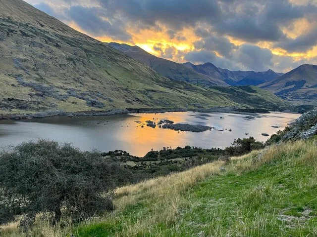 Top of The Lake Guiding - Hikes and Scenic Adventures